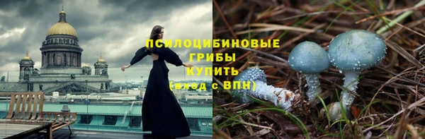 трава Алзамай