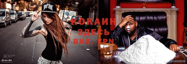 спайс Алексин